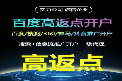 百度广告推广策略及成功案例解析