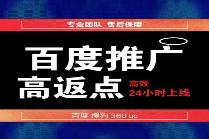 百度竞价排名案例解析：如何快速提升网站流量