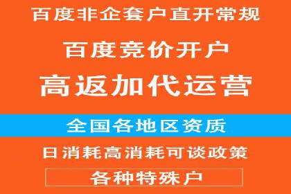 案例分析：竞价推广助力企业打造爆款产品